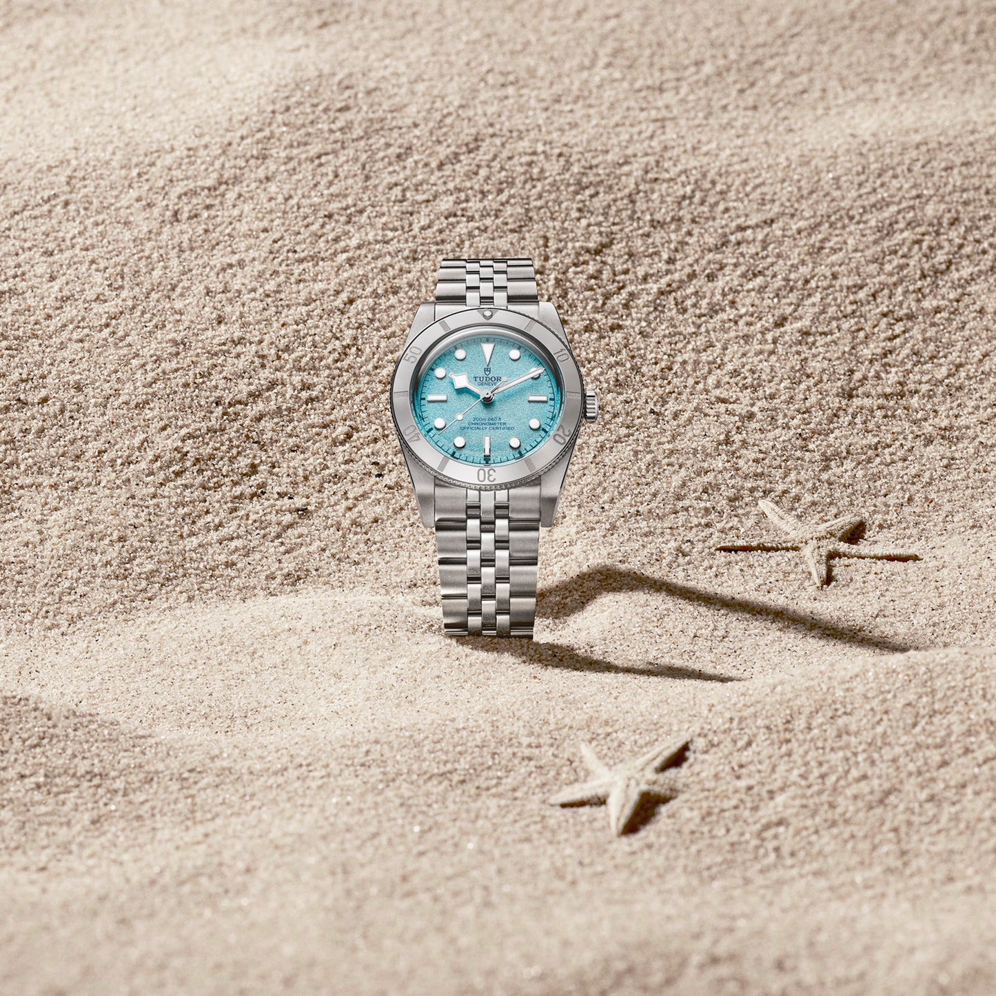 BLACK BAY 54 M79000-0001