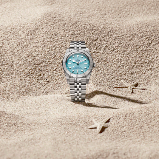 BLACK BAY 54 M79000-0001