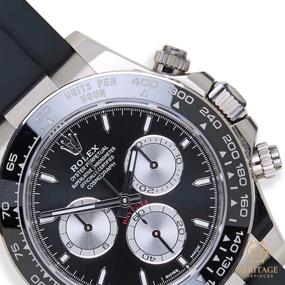 Rolex Daytona (2025) Ref 126519LN